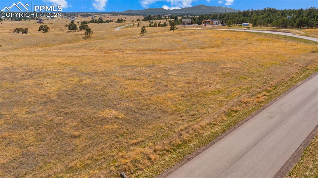 Image 2 of 17: Expansive land parcel featuring natural grasses and scattered trees