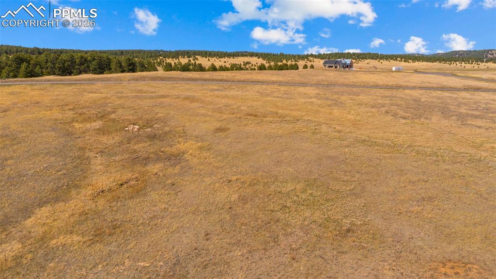 Image 5 of 17: Expansive, undeveloped open land with distant evergreen tree lines