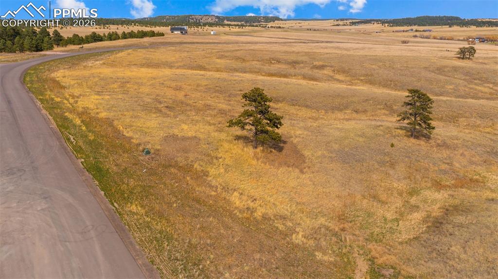Image 6 of 17: Expansive open acreage featuring natural grasslands and scattered evergreen