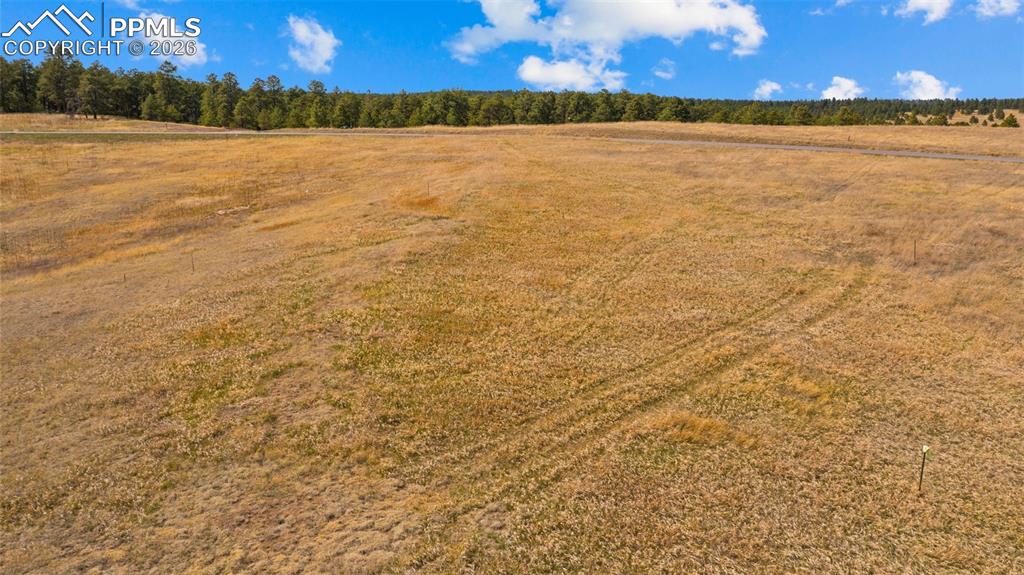 Image 7 of 17: Expansive open land featuring natural grass and a treeline horizon