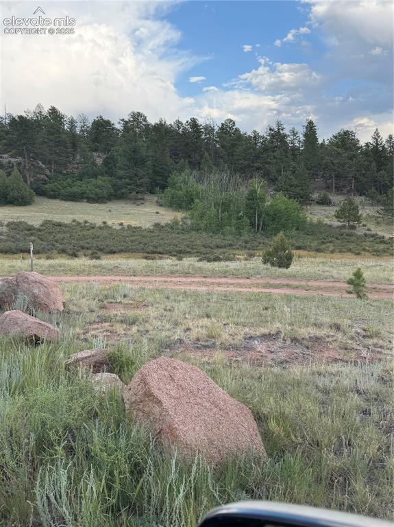 Image 9 of 23: Other