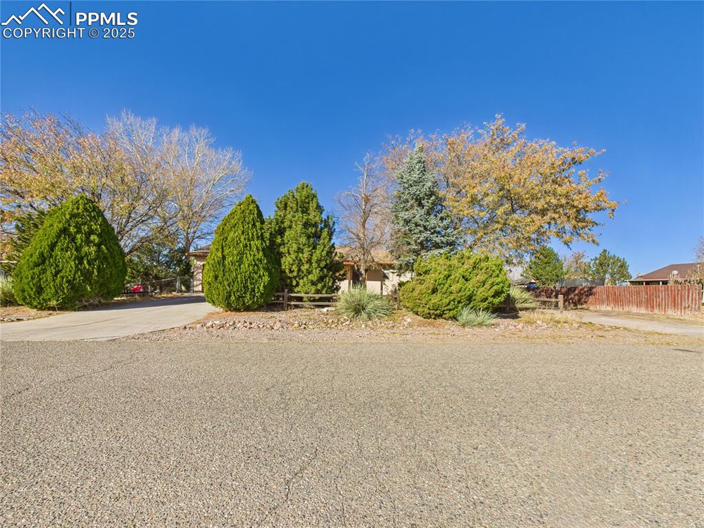 Image 38 of 38: Community