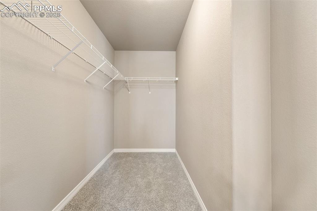 Image 13 of 25: Walk in closet featuring carpet floors