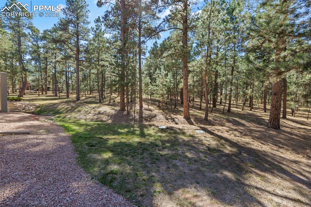 Image 48 of 50: Yard