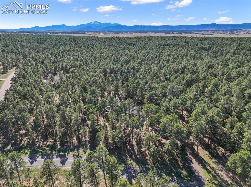 Image 49 of 50: Aerial View