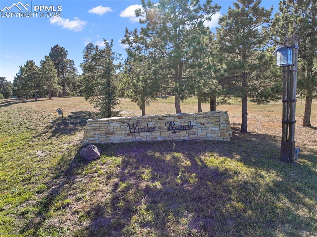 Image 50 of 50: Community