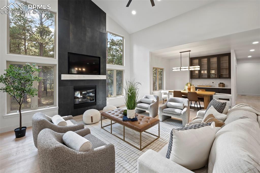 Image 8 of 50: Living Room