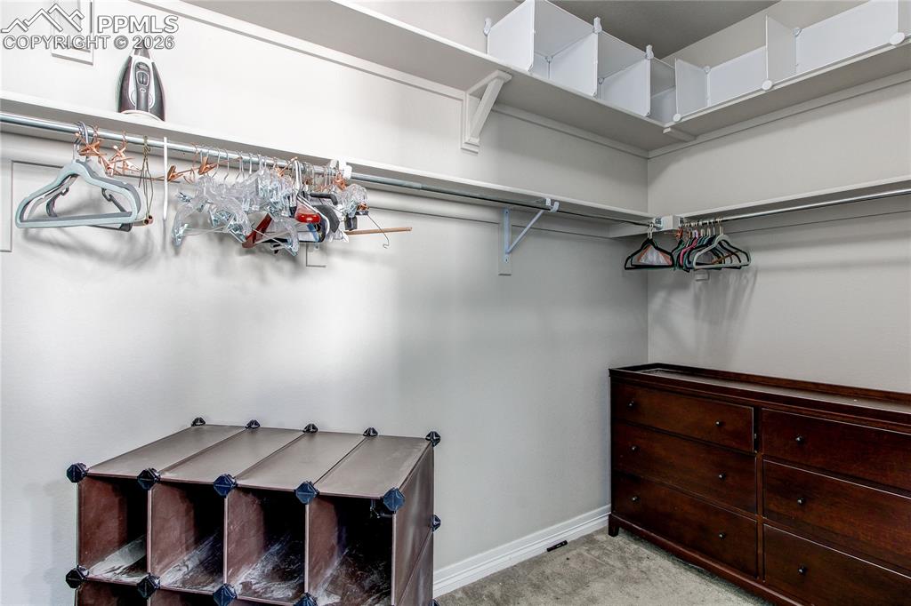 Image 43 of 49: Walk in closet with light carpet