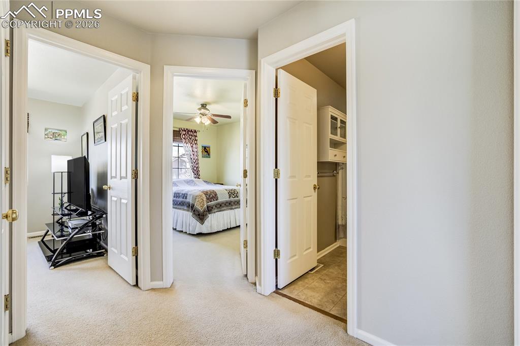 Image 23 of 50: Other