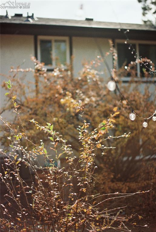 Image 42 of 45: Film photo from the spring View of home