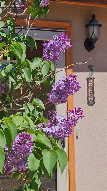 Image 10 of 50: Other