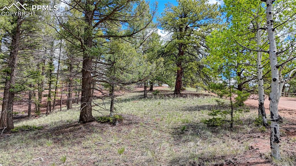 Image 11 of 14: Other