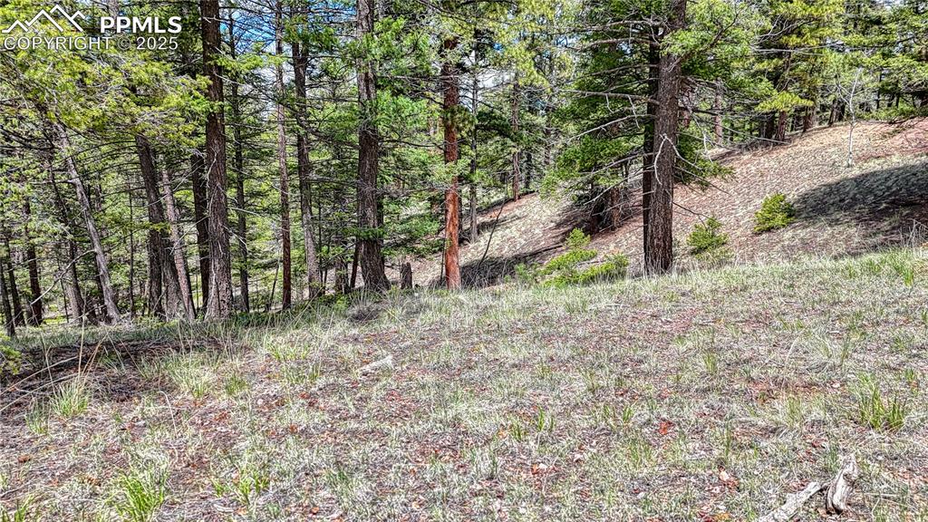 Image 14 of 14: Other