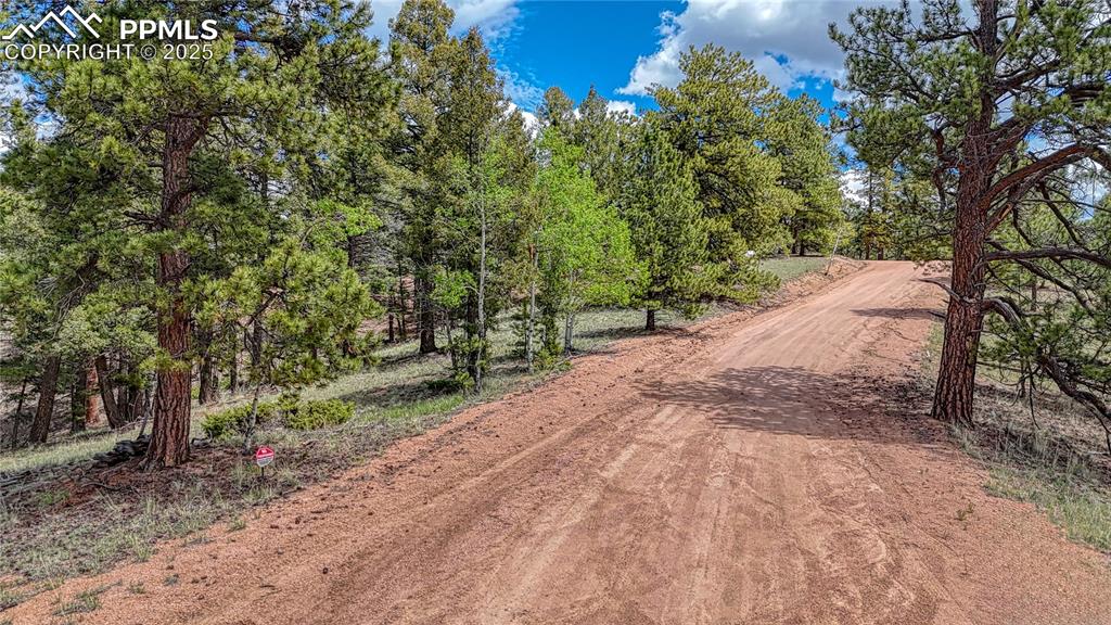 Image 3 of 14: Community