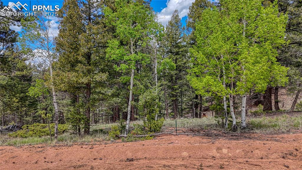 Image 4 of 14: Other