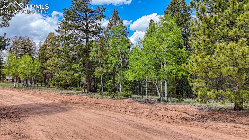 Image 5 of 14: Community