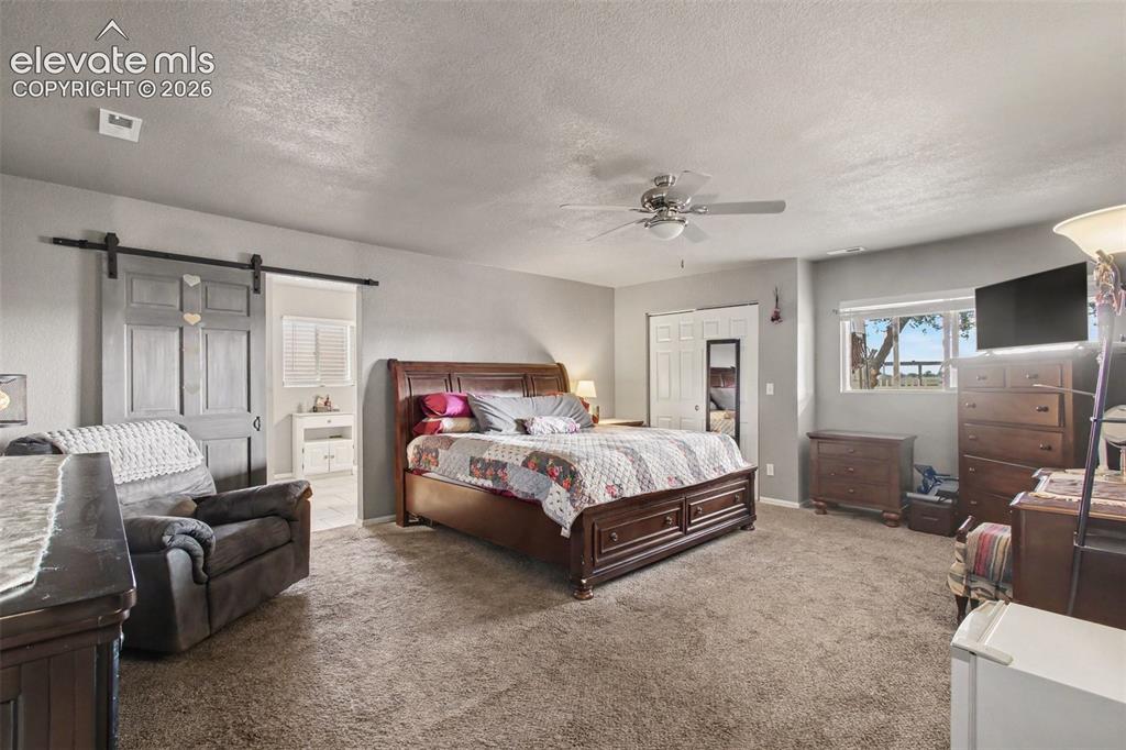 Image 16 of 45: Inviting primary bedroom featuring a stylish barn door and direct access to