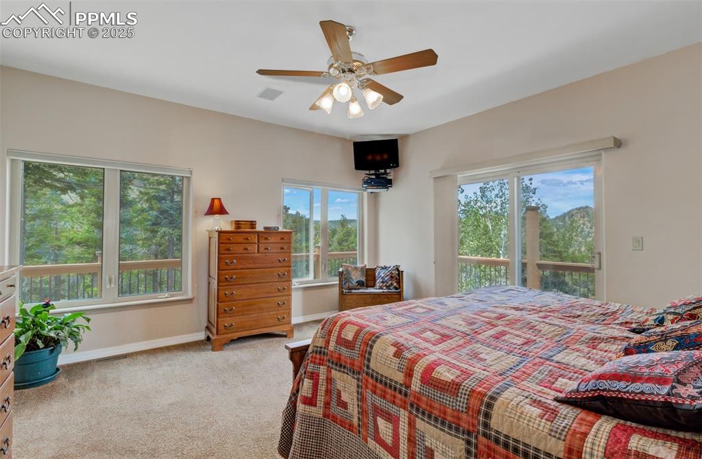 Image 18 of 46: Additional view of the Primary Bedroom with walk out to the deck!
