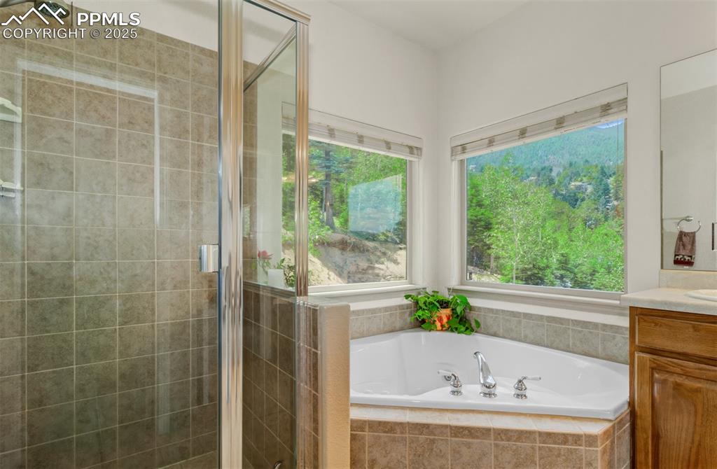 Image 20 of 46: Primary bathroom with a focus on the stand in shower and the soaking tub wi