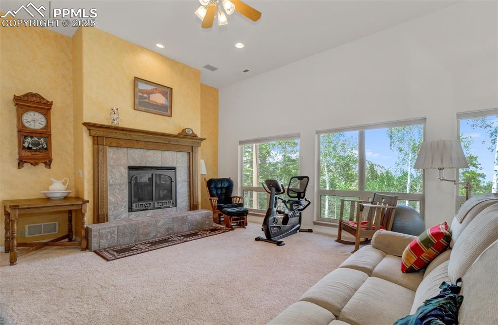 Image 29 of 46: Family room on the lower level with a gas burning fireplace, a speaker syst