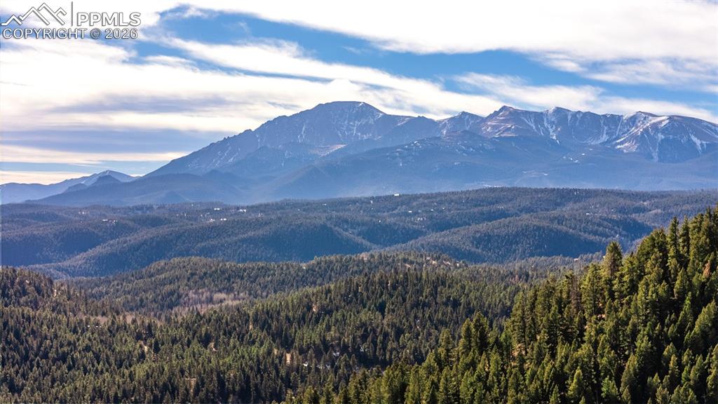 Image 5 of 32: View