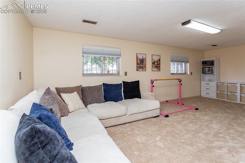 Image 22 of 40: Huge Family Rm w/ Garden Level Windows!