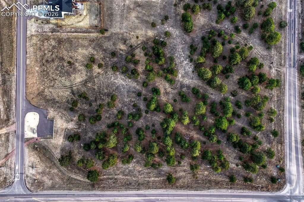 Image 14 of 14: Aerial View