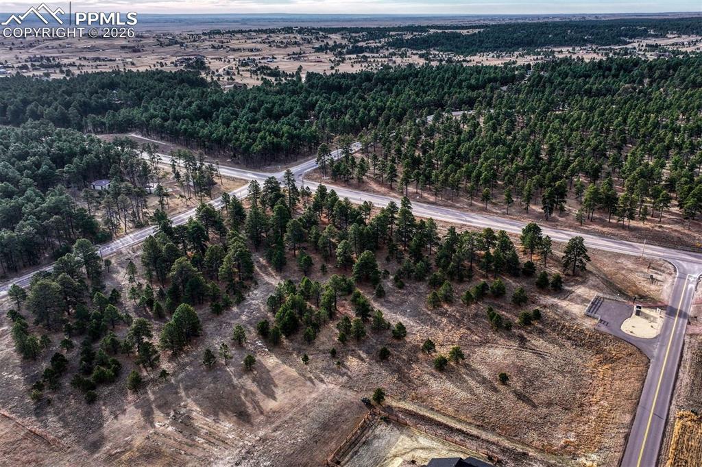 Image 4 of 14: Aerial View