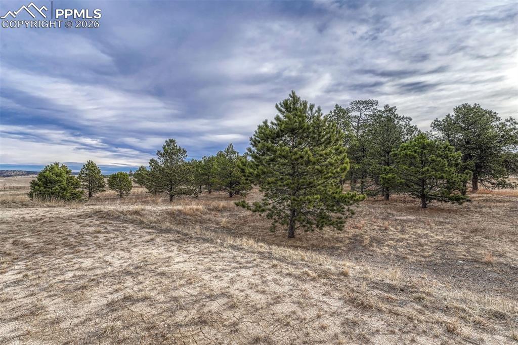 Image 6 of 14: Other