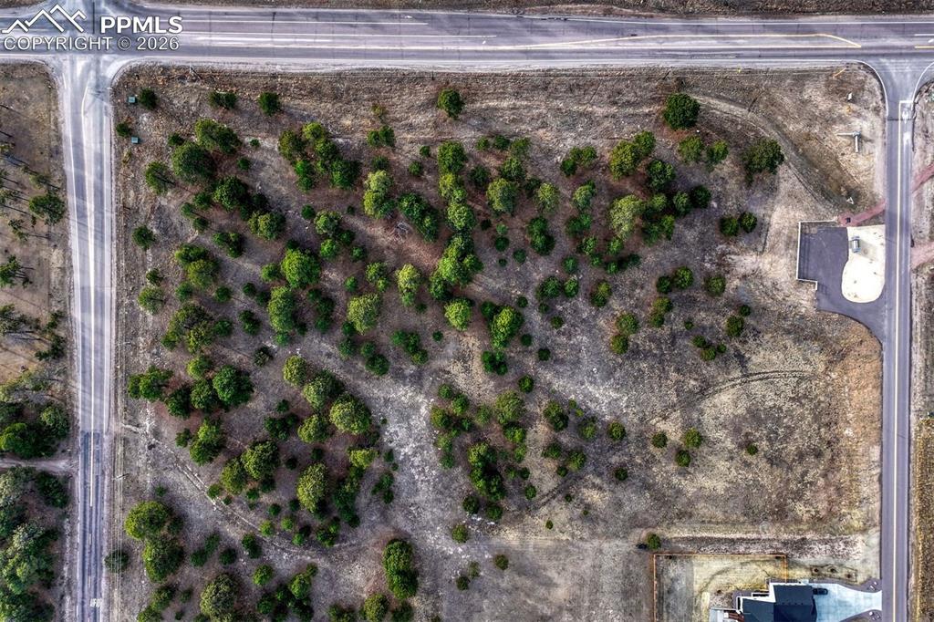 Image 9 of 14: Aerial View