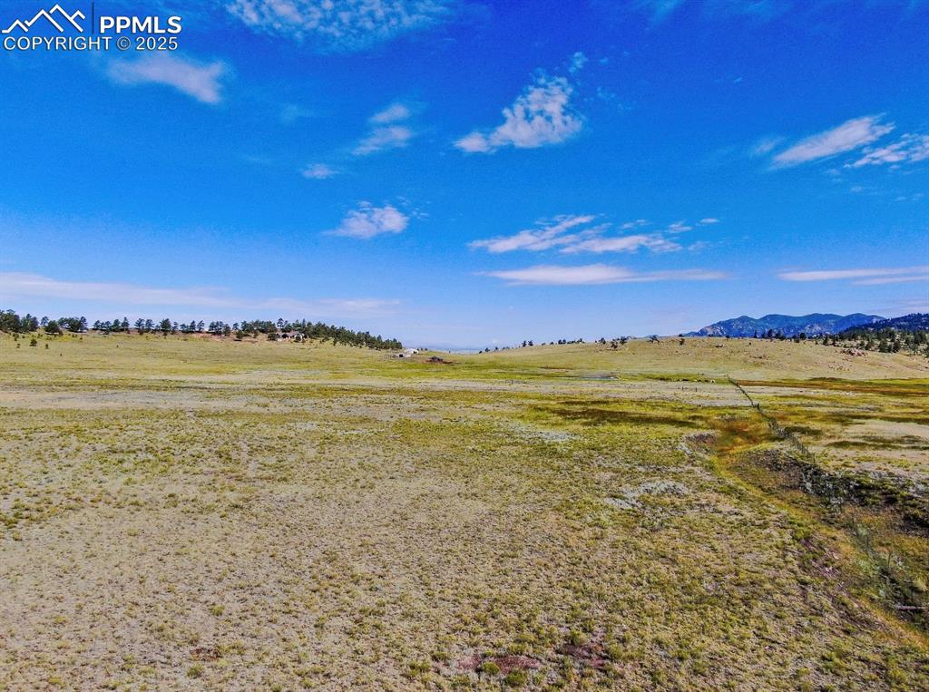 Image 12 of 33: Yard