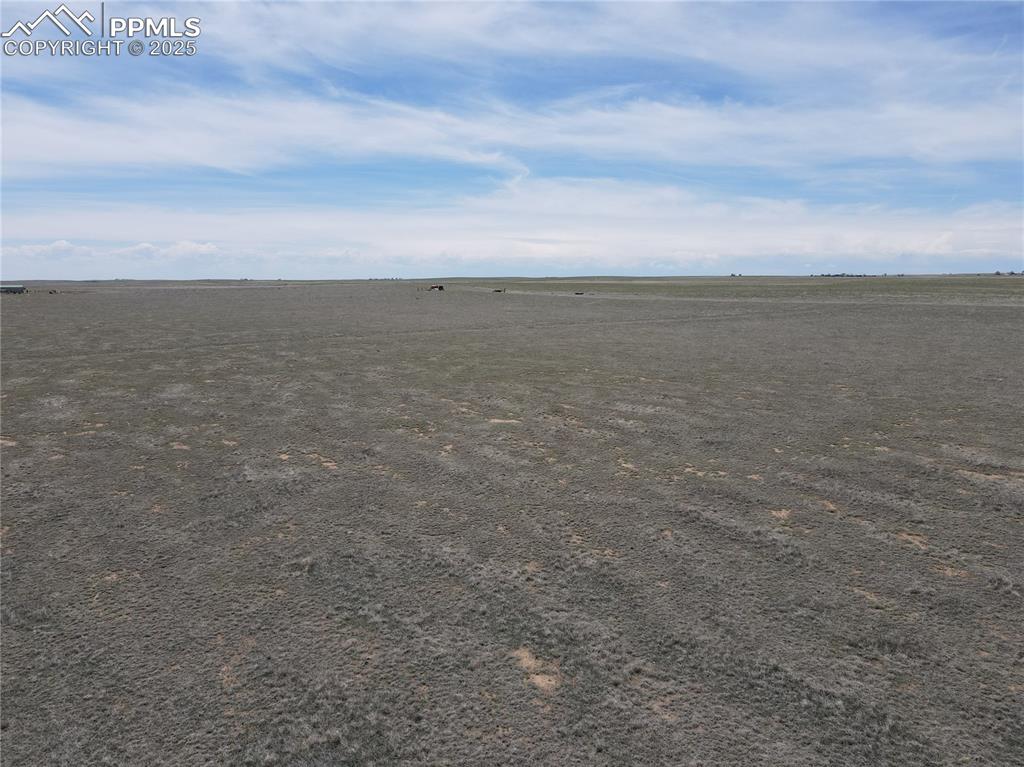 Image 12 of 12: Other