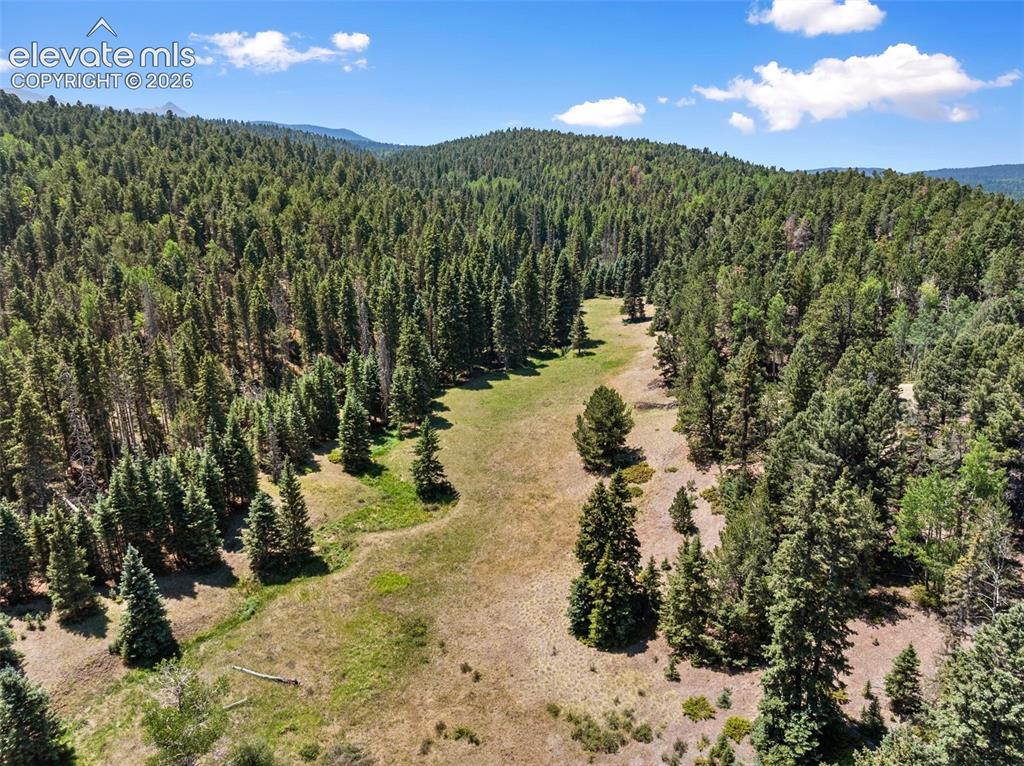 Image 16 of 50: Aerial View