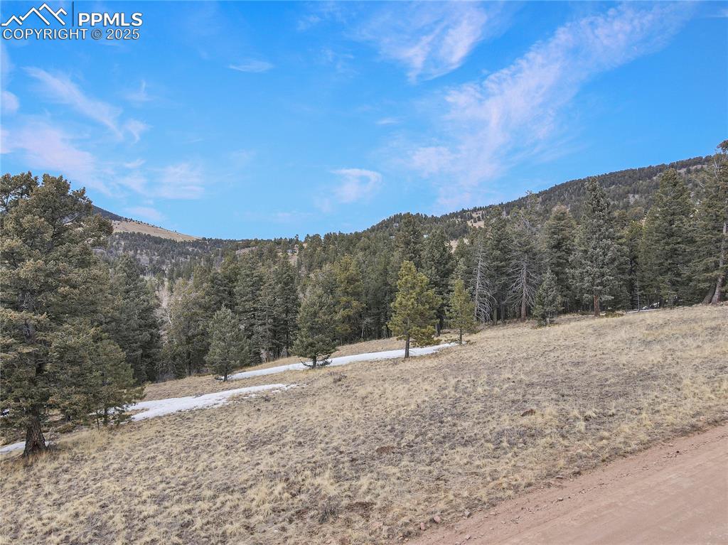 Image 8 of 14: View