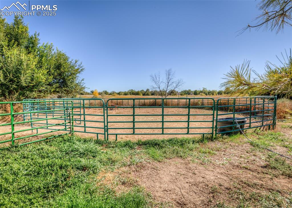 Image 20 of 29: Other