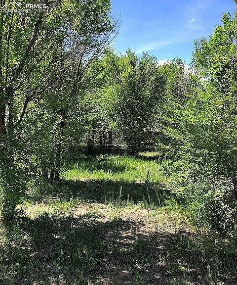 Image 22 of 29: Other