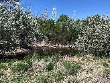 Image 23 of 29: Other