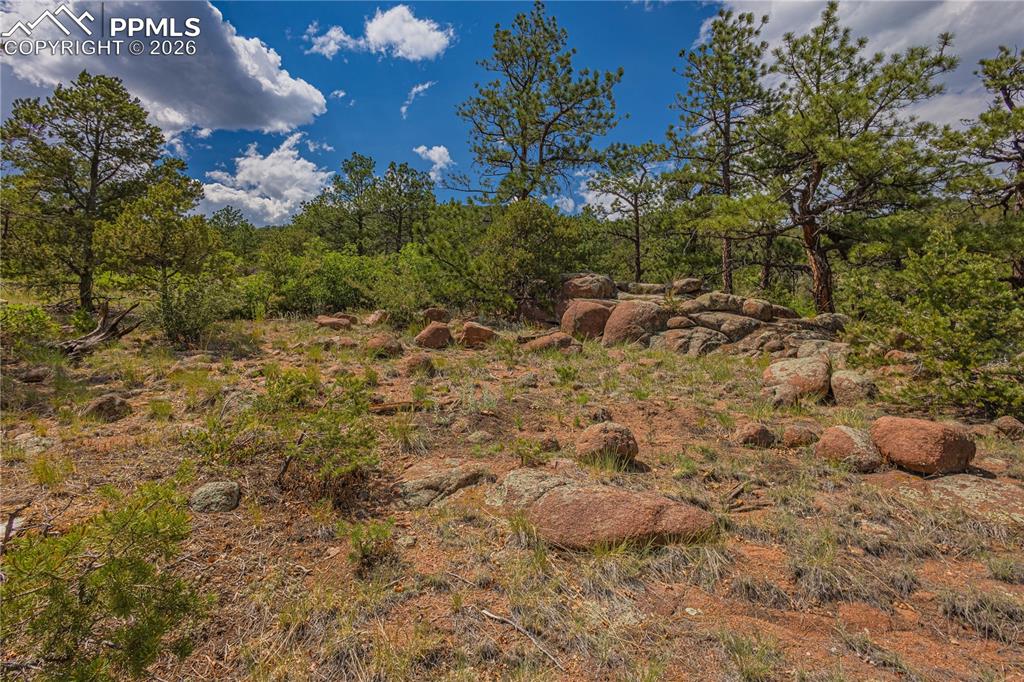 Image 11 of 24: Other