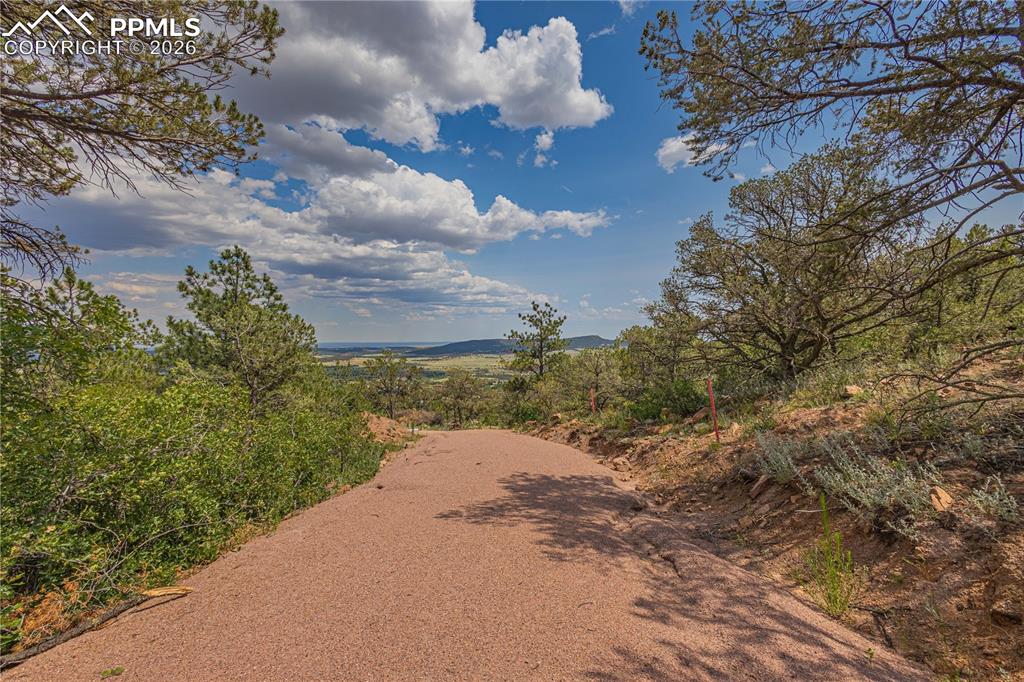 Image 6 of 24: Driveway leading to clearing.