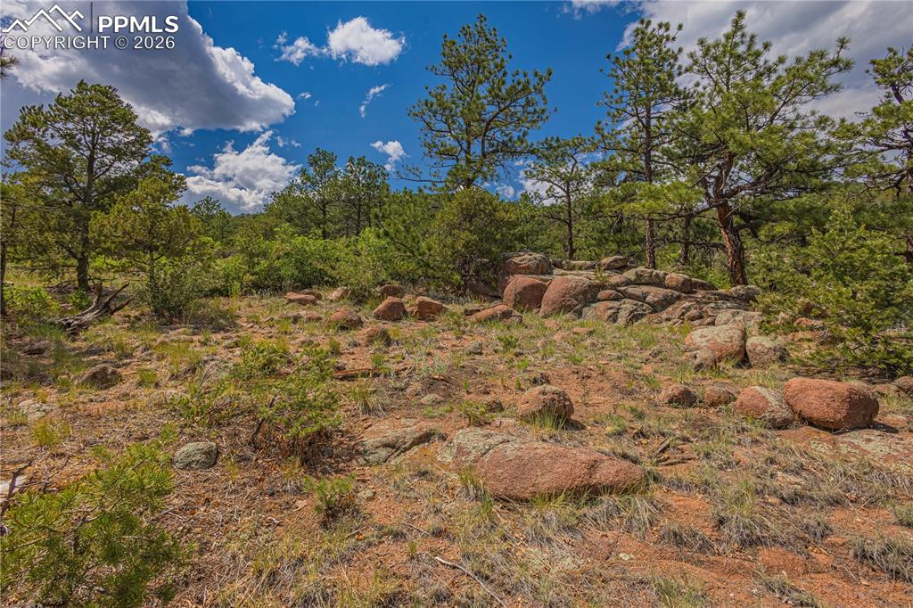 Image 7 of 24: Clearing for home