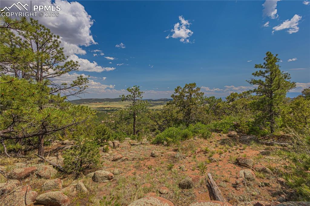 Image 8 of 24: View