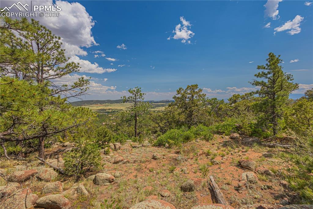 Image 9 of 24: View