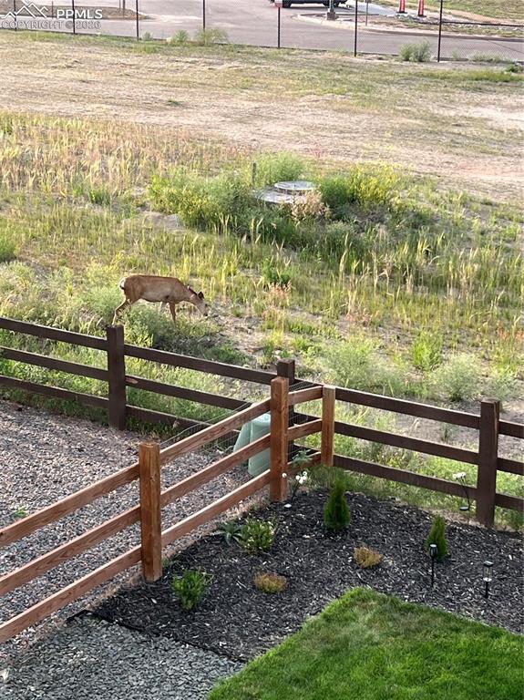 Image 37 of 42: Yard