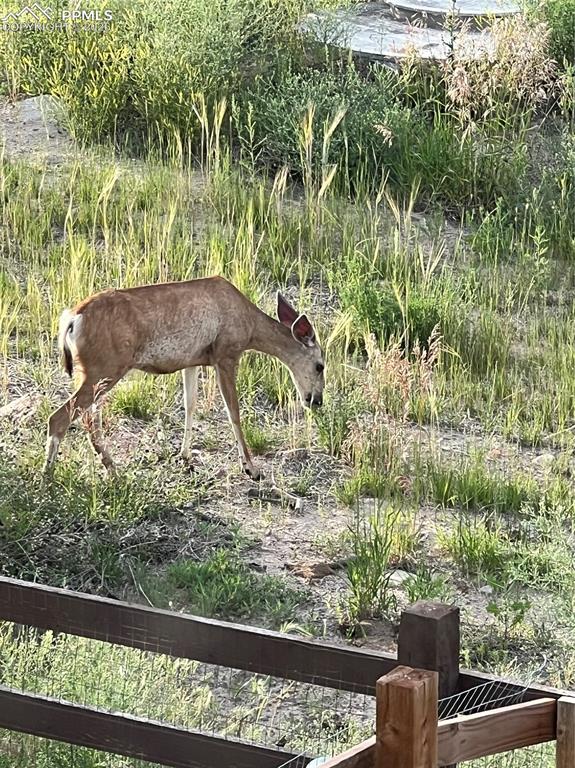 Image 38 of 42: Other