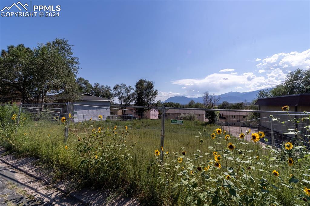 Image 12 of 12: Yard