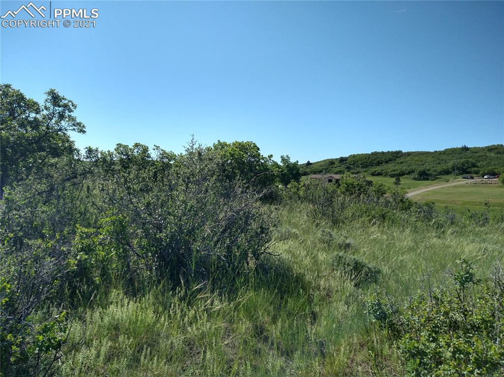 Listing 1403199, Image 3 of 33