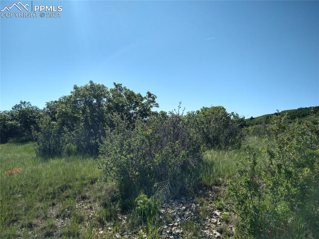 Listing 1403199, Image 6 of 33