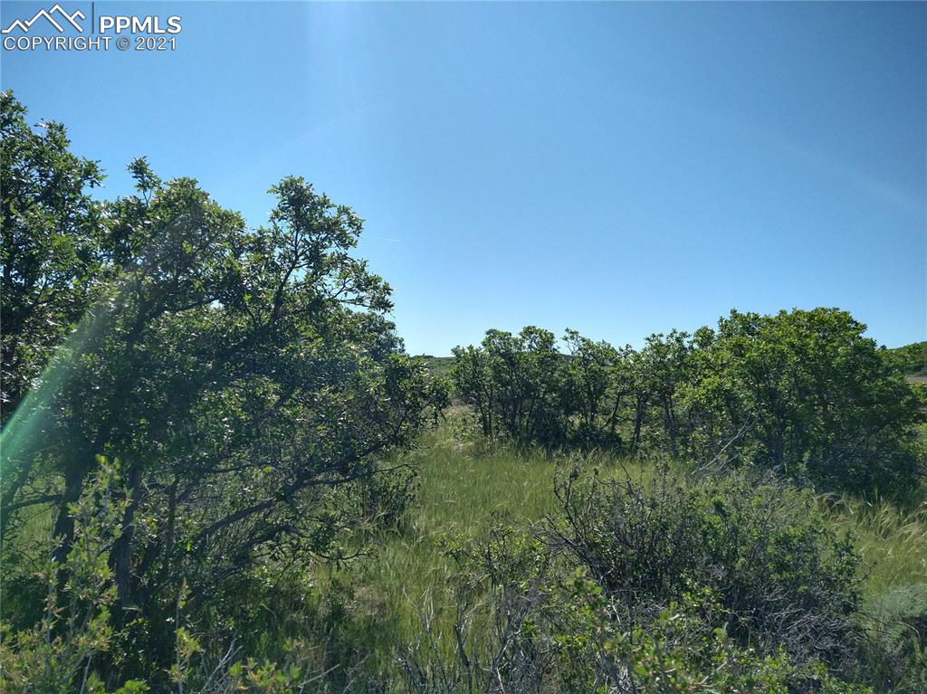 Listing 1403199, Image 9 of 33