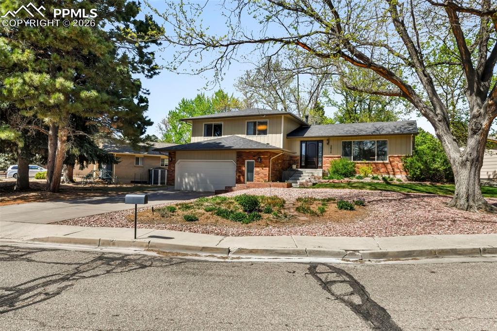 Image 39 of 50: Yard