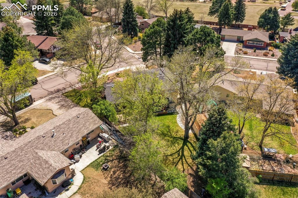 Image 48 of 50: Back of Structure